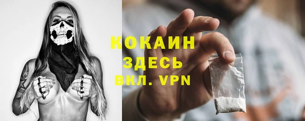 spice Алзамай
