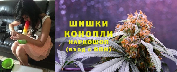 индика Армянск