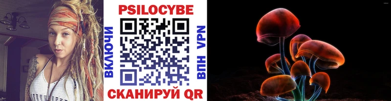 цена наркотик Трубчевск Псилоцибиновые грибы Psilocybine cubensis